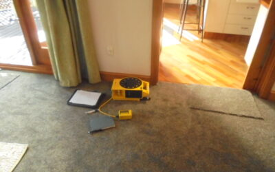 Leaky Buildings & Hidden Moisture: How Non-Invasive Testing Saves Canterbury Homeowners Thousands